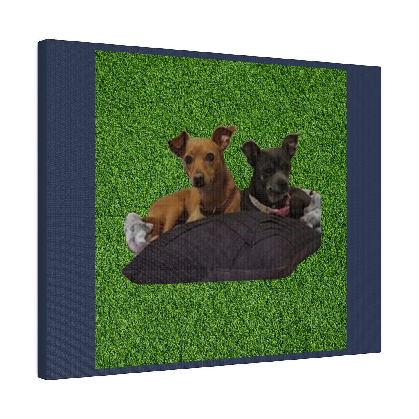 Custom Order - Nelson Dogs - Vintage Blue Stretched Canvas