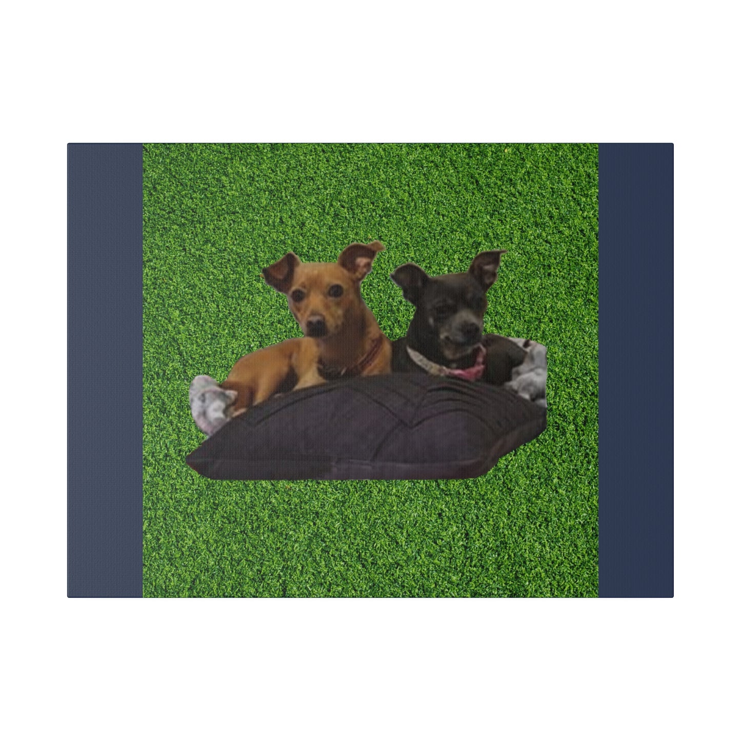 Custom Order - Nelson Dogs - Vintage Blue Stretched Canvas
