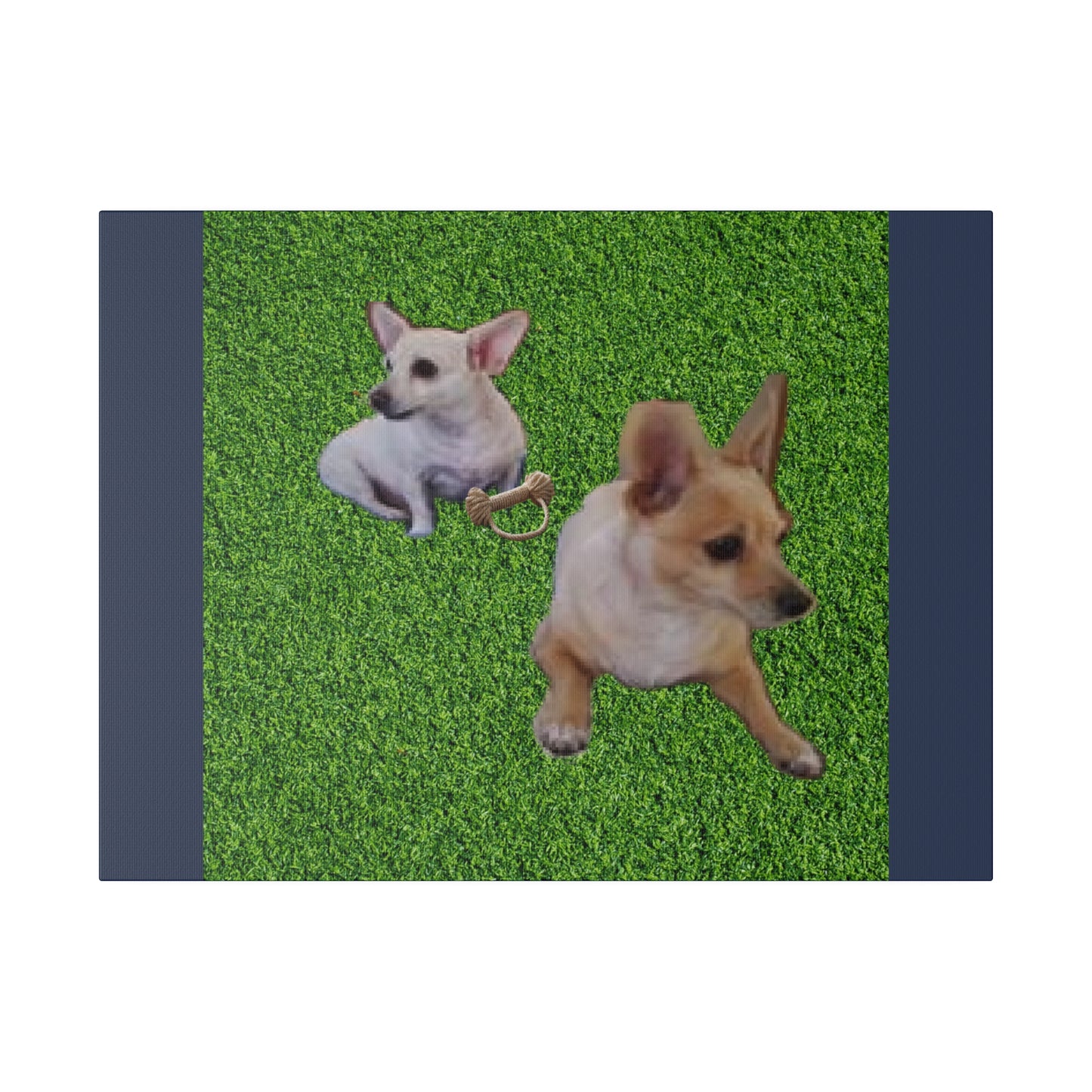 Custom Order - Speedy and Rocco | Vintage Blue Stretched Canvas