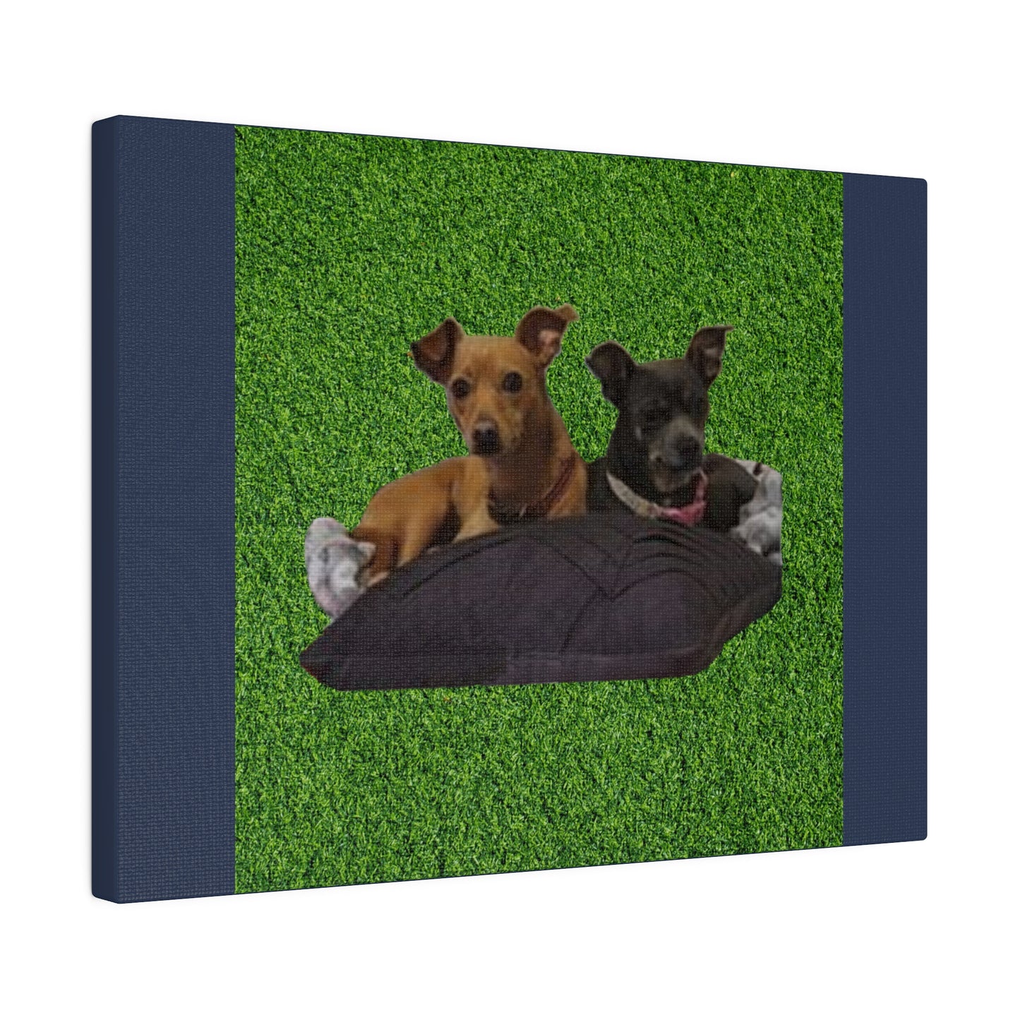 Custom Order - Nelson Dogs - Vintage Blue Stretched Canvas