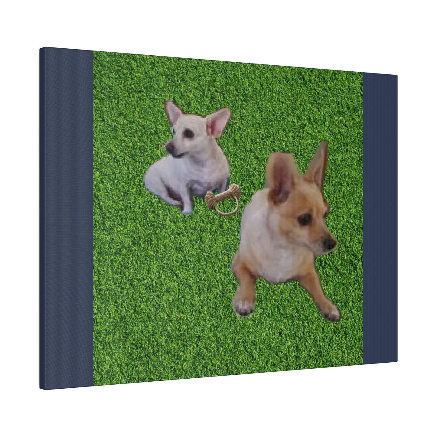 Custom Order - Speedy and Rocco | Vintage Blue Stretched Canvas
