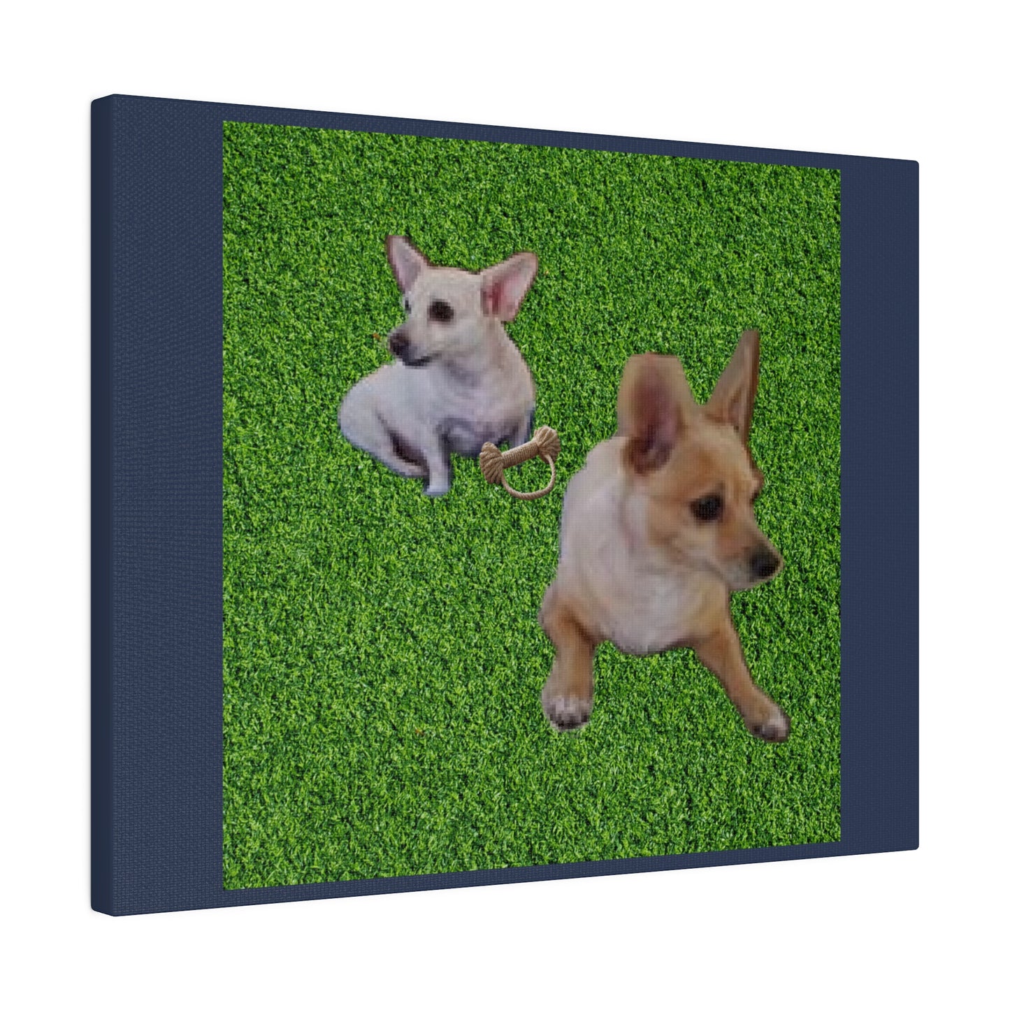 Custom Order - Speedy and Rocco | Vintage Blue Stretched Canvas