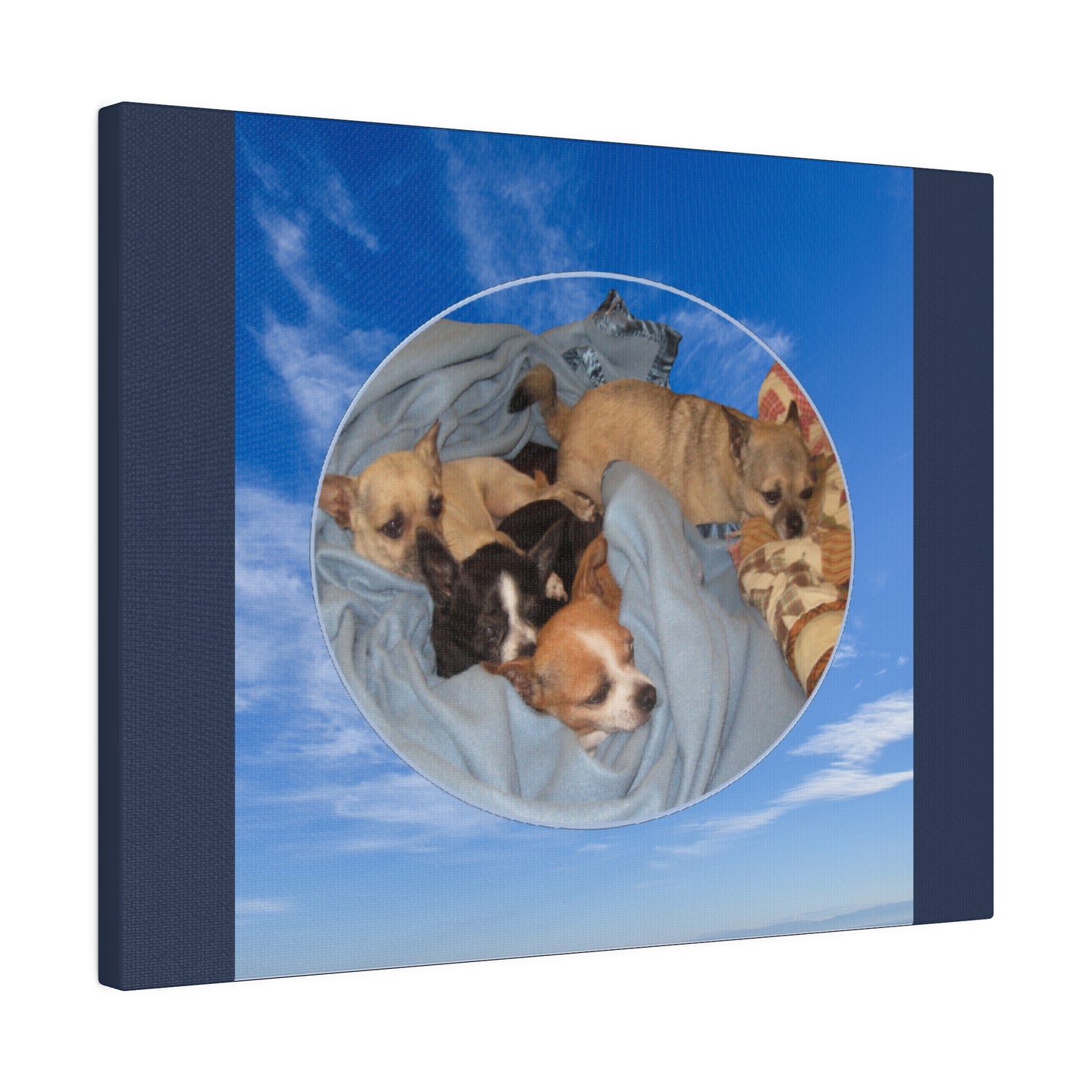 Custom Order - Storm Tippy Trouble Bronx -v2 | Blue Stretched Canvas
