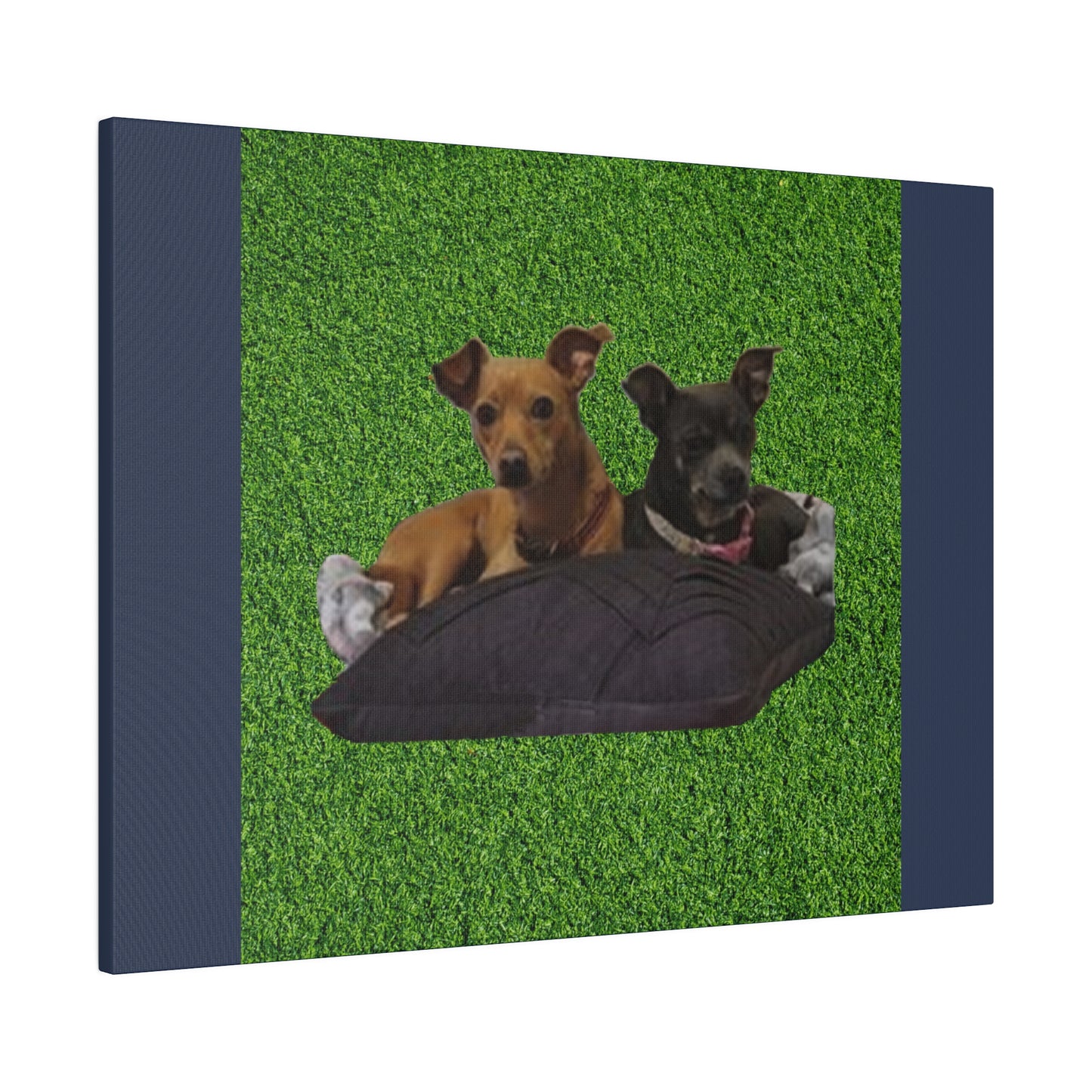 Custom Order - Nelson Dogs - Vintage Blue Stretched Canvas