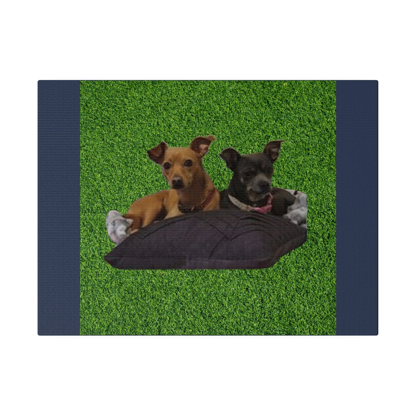 Custom Order - Nelson Dogs - Vintage Blue Stretched Canvas
