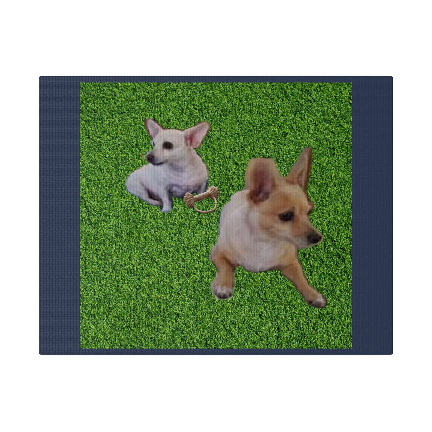 Custom Order - Speedy and Rocco | Vintage Blue Stretched Canvas