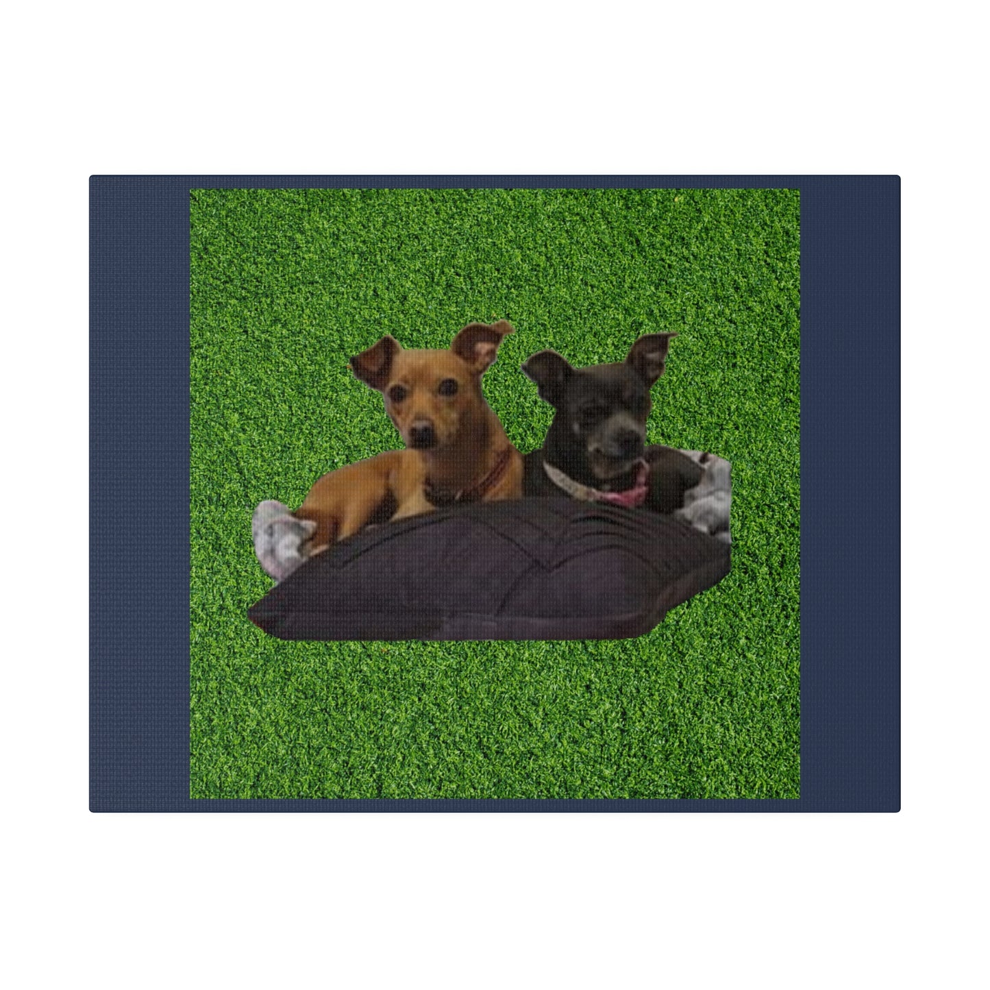 Custom Order - Nelson Dogs - Vintage Blue Stretched Canvas