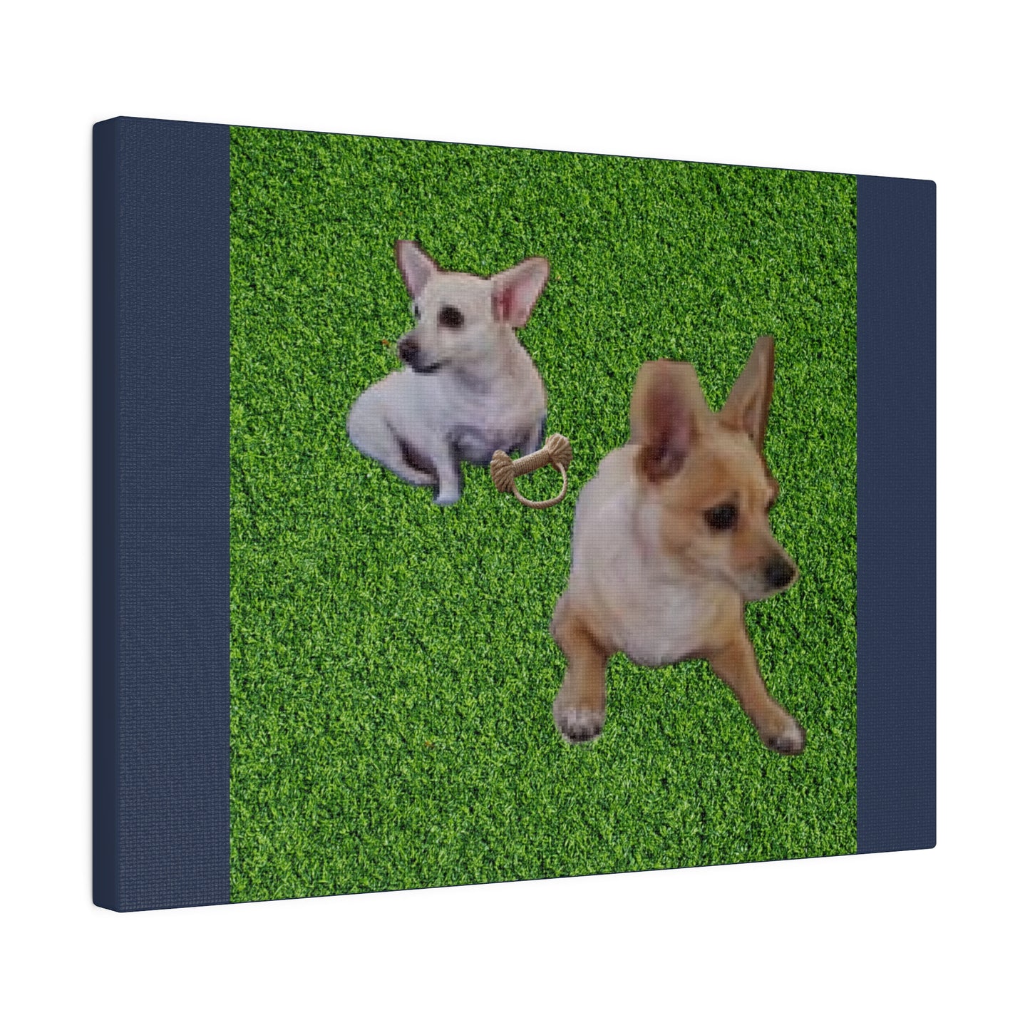 Custom Order - Speedy and Rocco | Vintage Blue Stretched Canvas