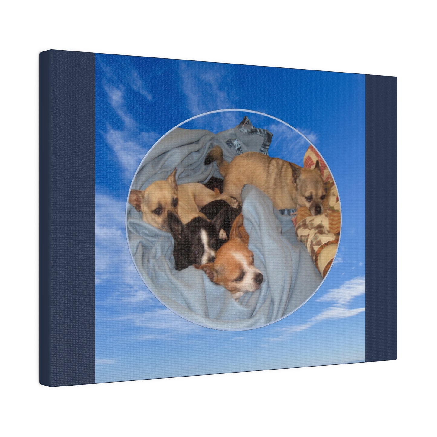 Custom Order - Storm Tippy Trouble Bronx -v2 | Blue Stretched Canvas
