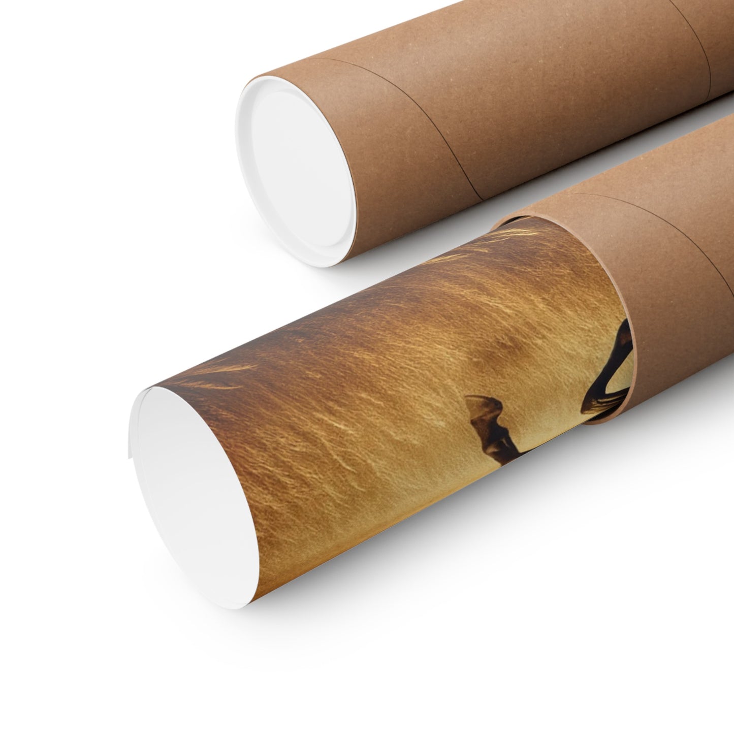Décoration murale représentant un cheval courant pour chambre d'enfant - Affiche mate beige