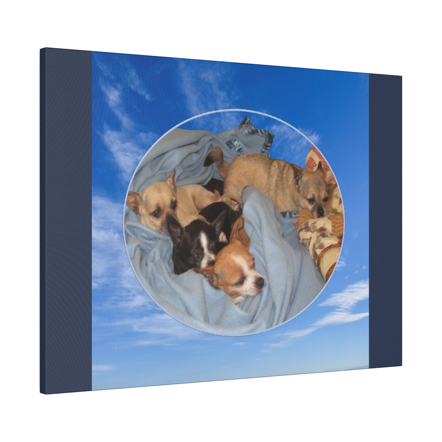 Custom Order - Storm Tippy Trouble Bronx -v2 | Blue Stretched Canvas