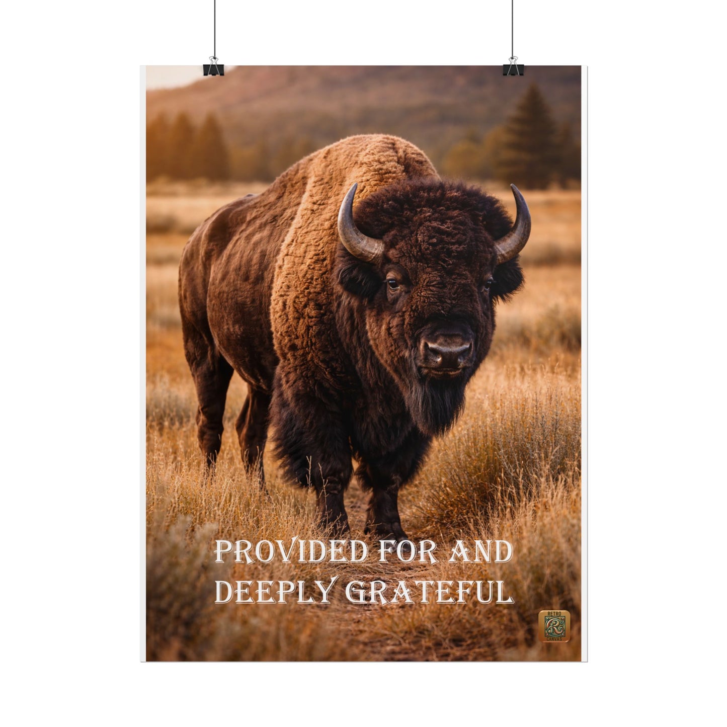 Buffalo Poster — "Provided For and Deeply Grateful" Rustic Wildlife Wall Art
