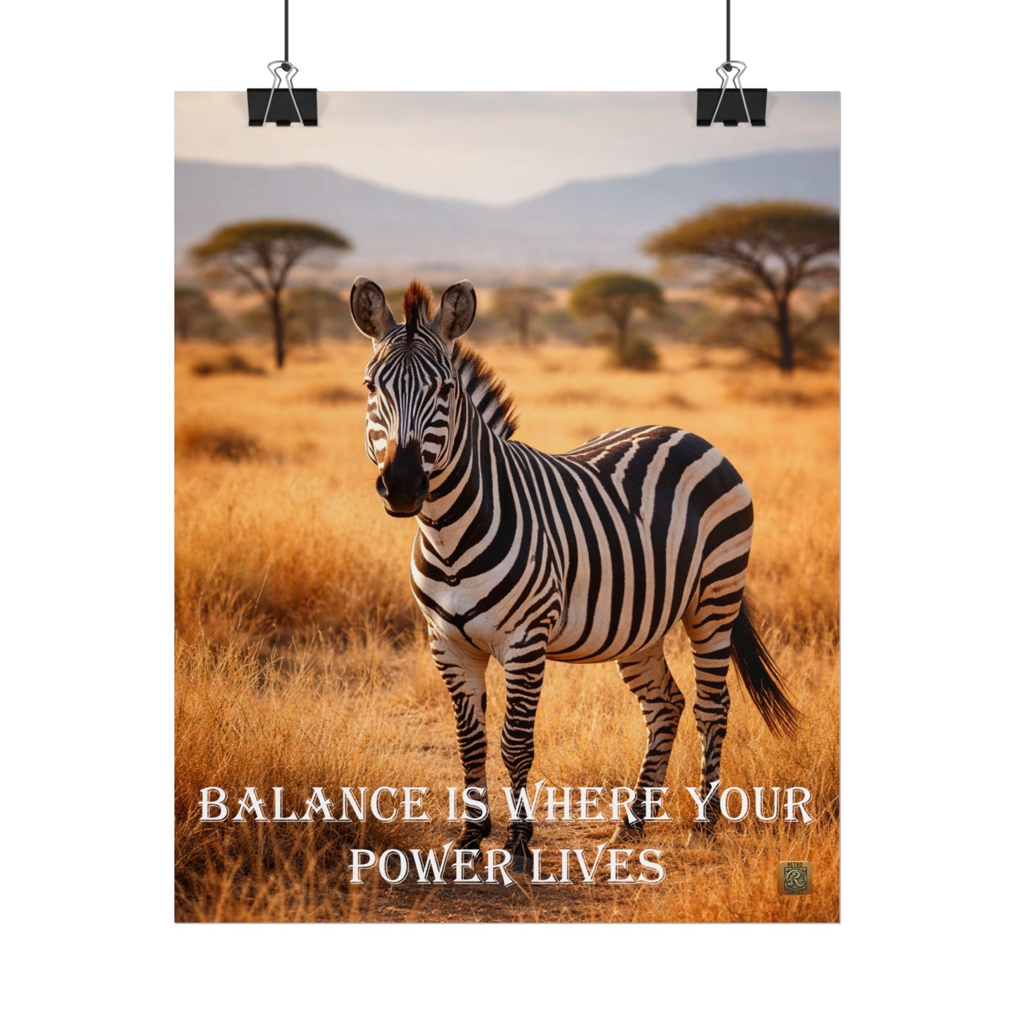Zebra 'Balance Is Where Your Power Lives' -Poster