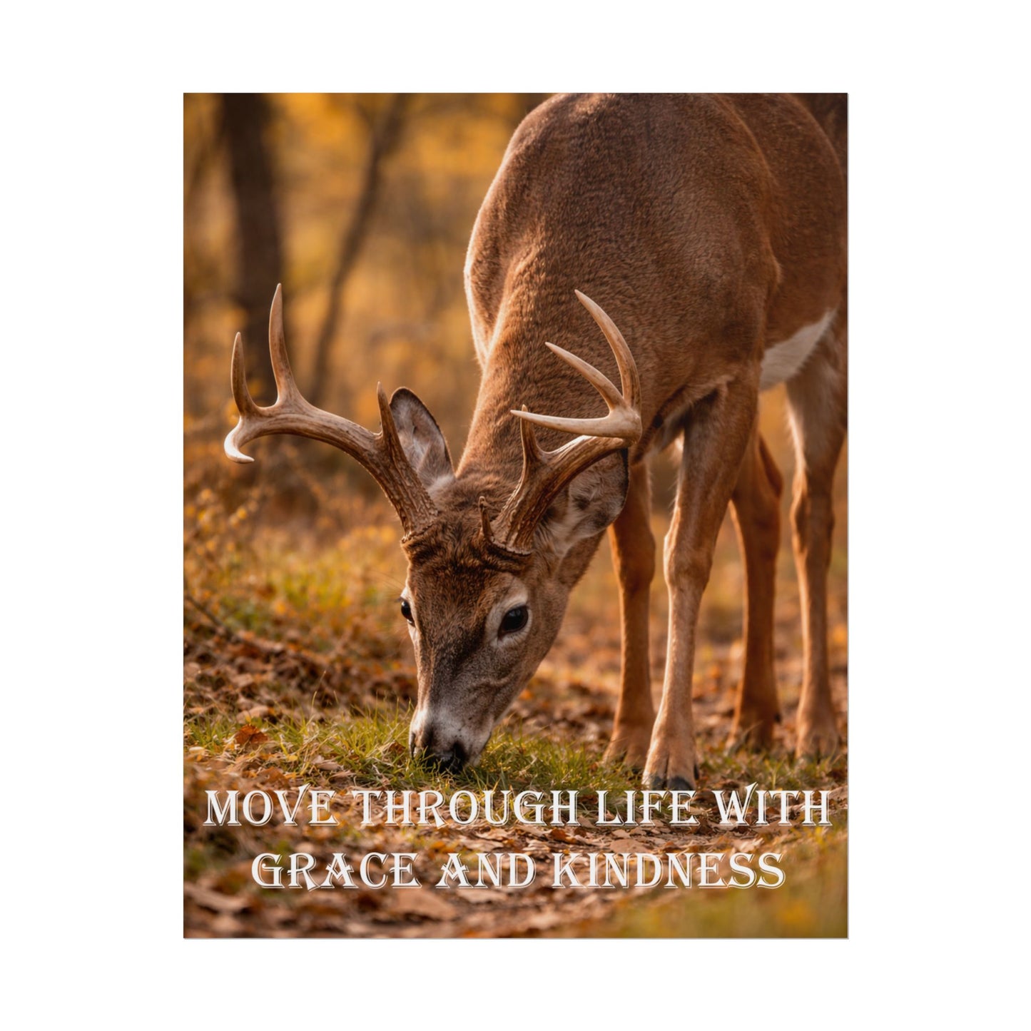 Deer Inspirational Poster — "Move Through Life With Grace and Kindness" Wall Art