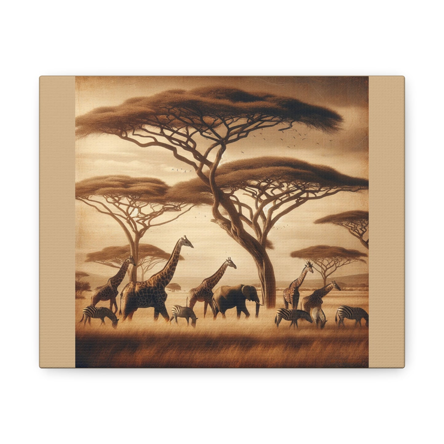 Safari - Tan Canvas Wrap