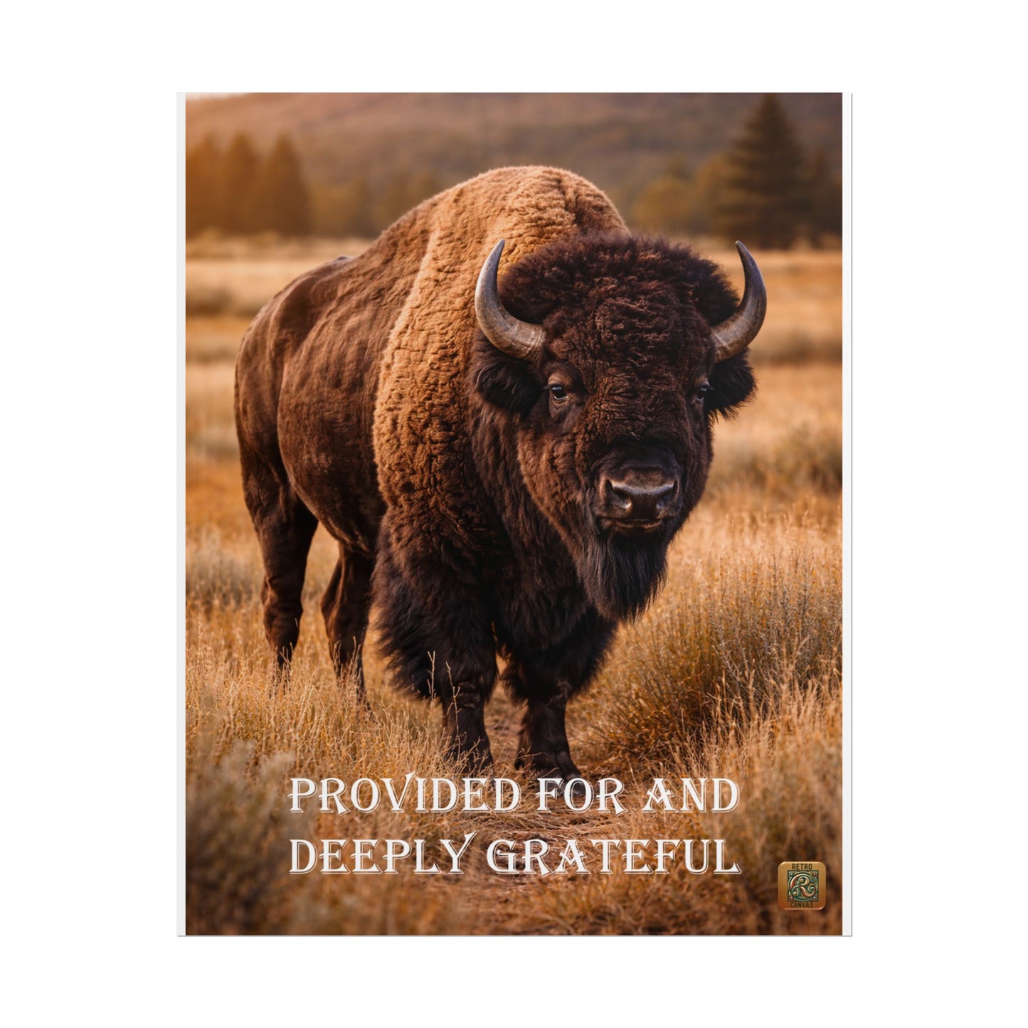 Buffalo Poster — "Provided For and Deeply Grateful" Rustic Wildlife Wall Art