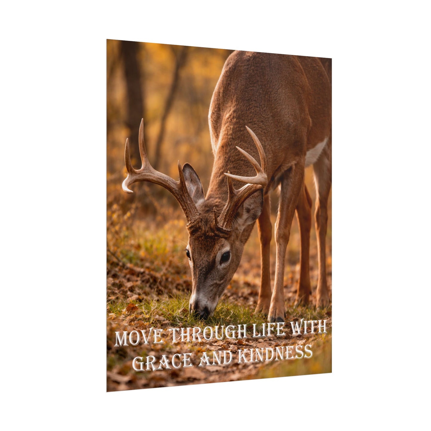 Deer Inspirational Poster — "Move Through Life With Grace and Kindness" Wall Art
