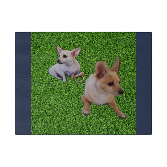 Custom Order - Speedy and Rocco | Vintage Blue Stretched Canvas