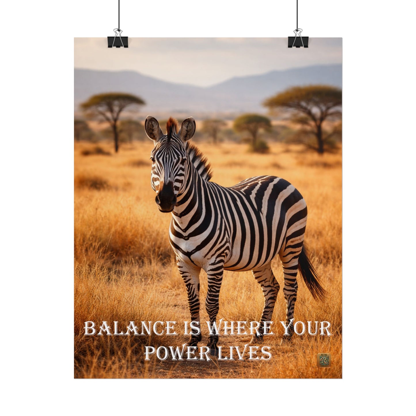 Zebra 'Balance Is Where Your Power Lives' -Poster