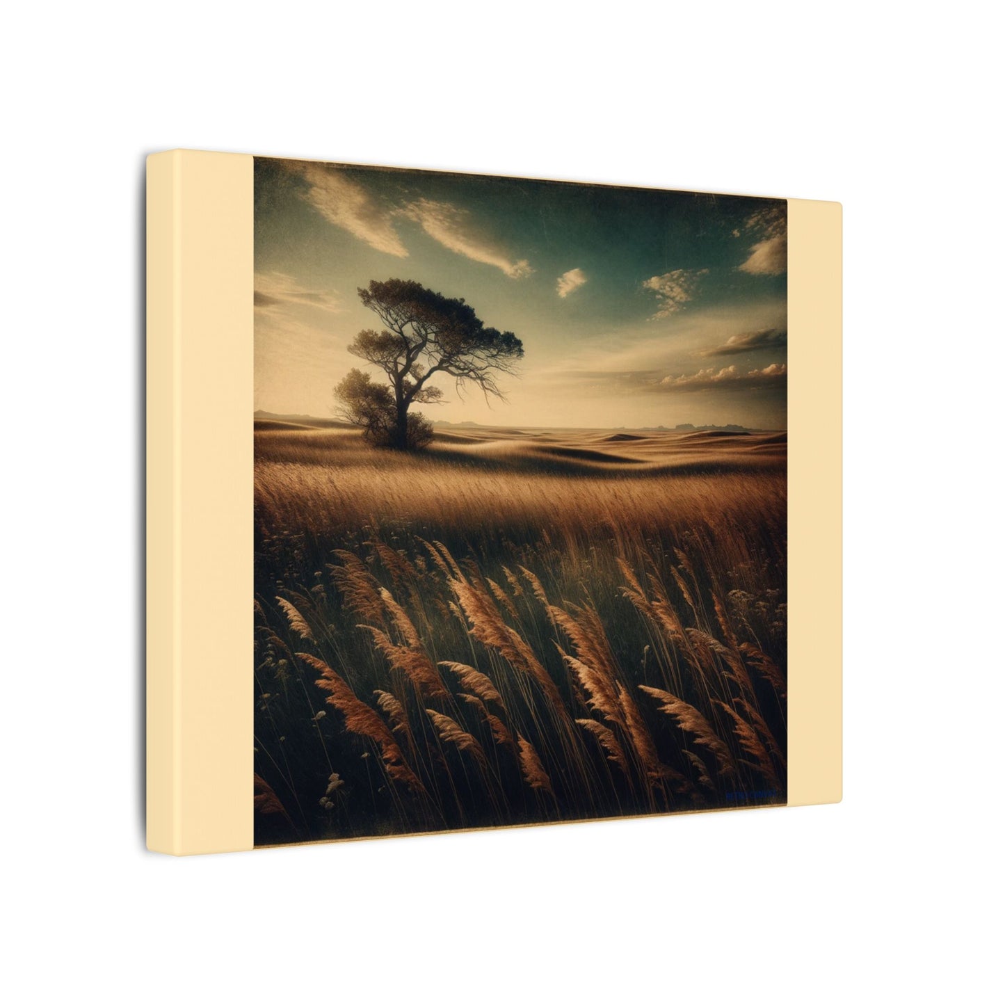 La Prairie – Toile enveloppée