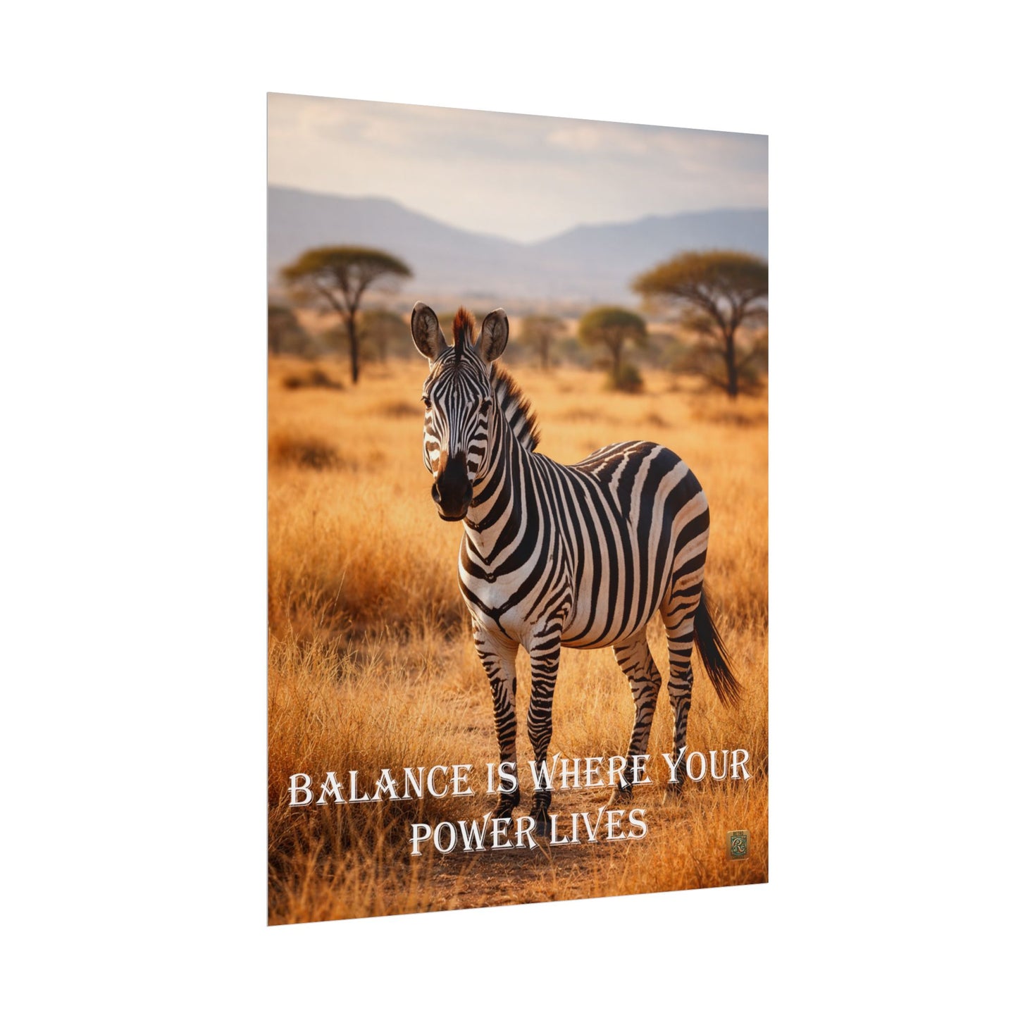 Zebra 'Balance Is Where Your Power Lives' -Poster