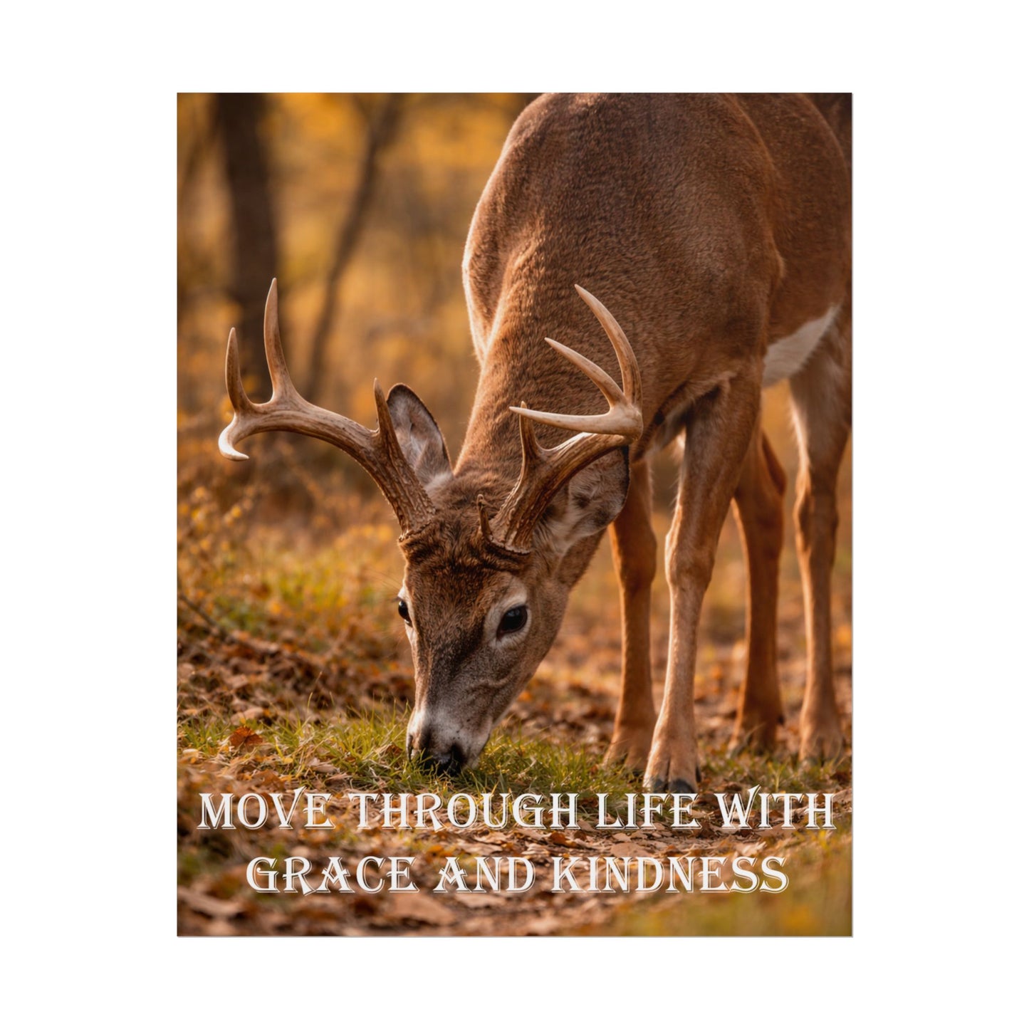 Deer Inspirational Poster — "Move Through Life With Grace and Kindness" Wall Art