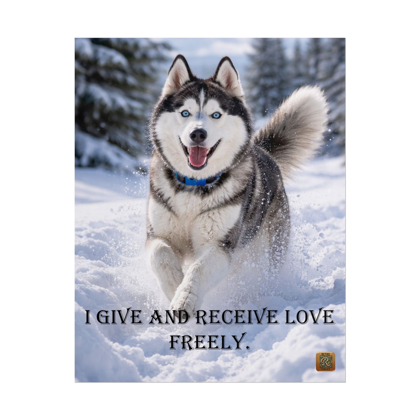 Husky Winter Poster - "I Give and Receive Love Freely" Inspirational Rolled Wall Art