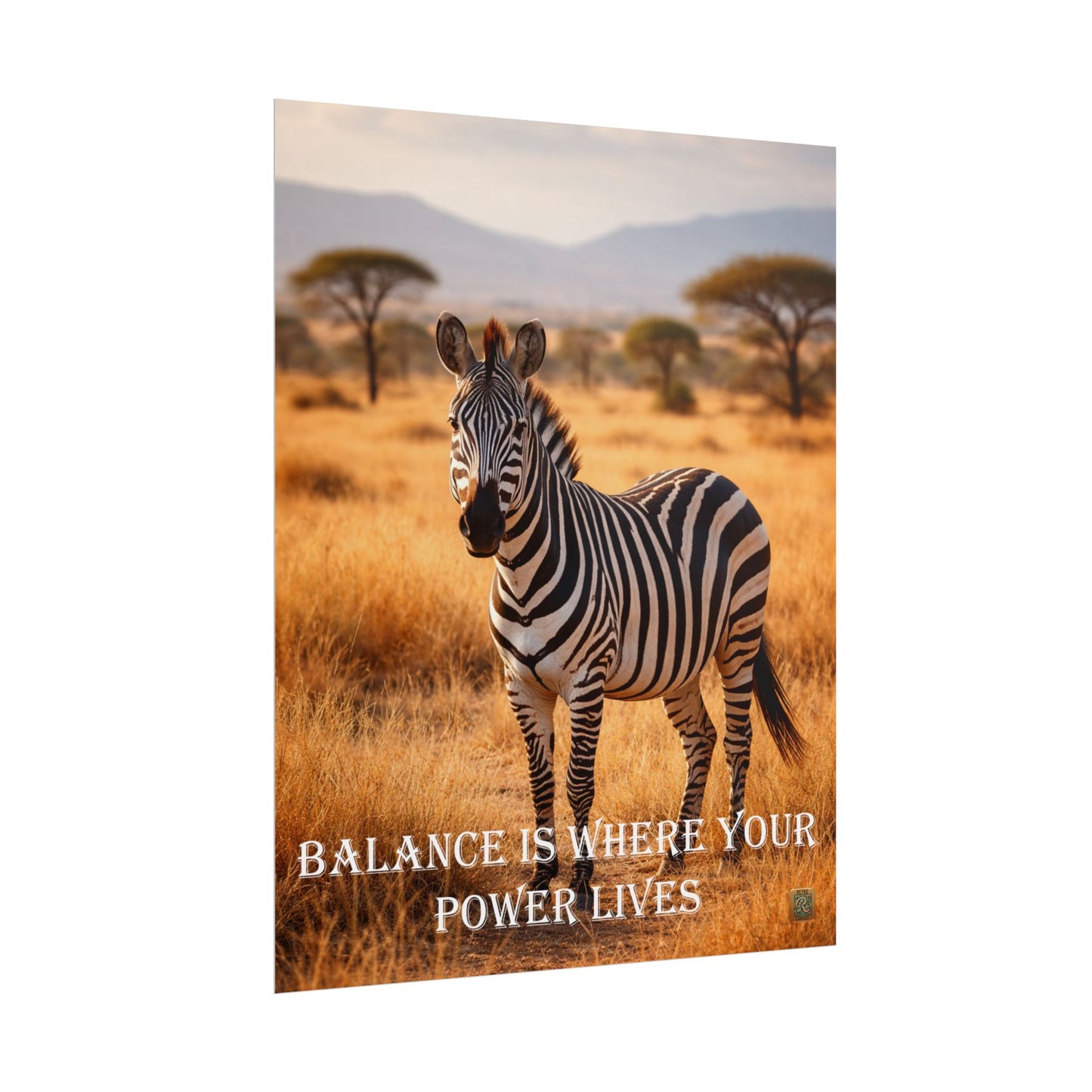 Zebra 'Balance Is Where Your Power Lives' -Poster