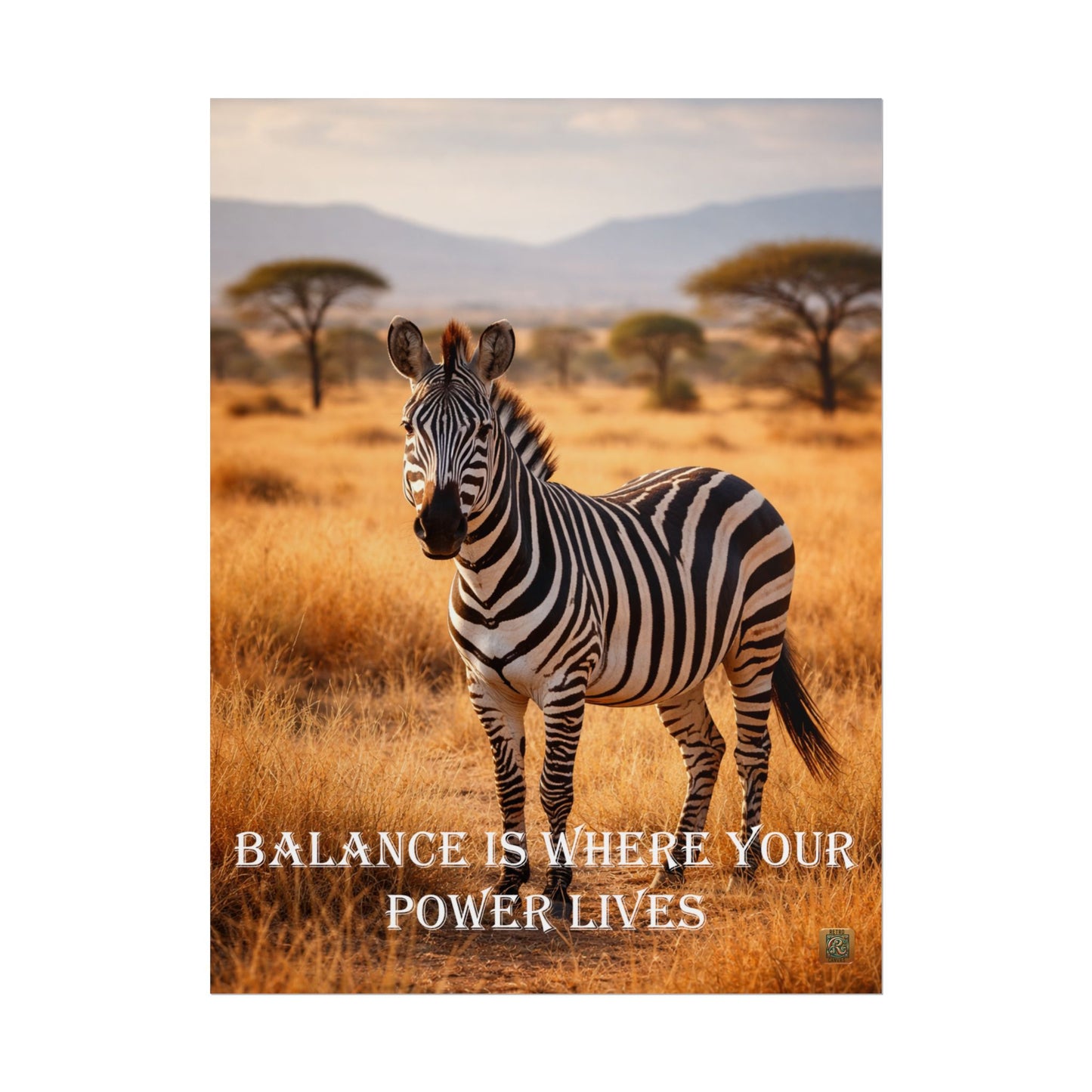Zebra 'Balance Is Where Your Power Lives' -Poster