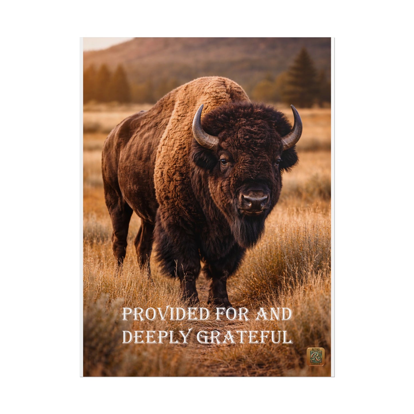 Buffalo Poster — "Provided For and Deeply Grateful" Rustic Wildlife Wall Art