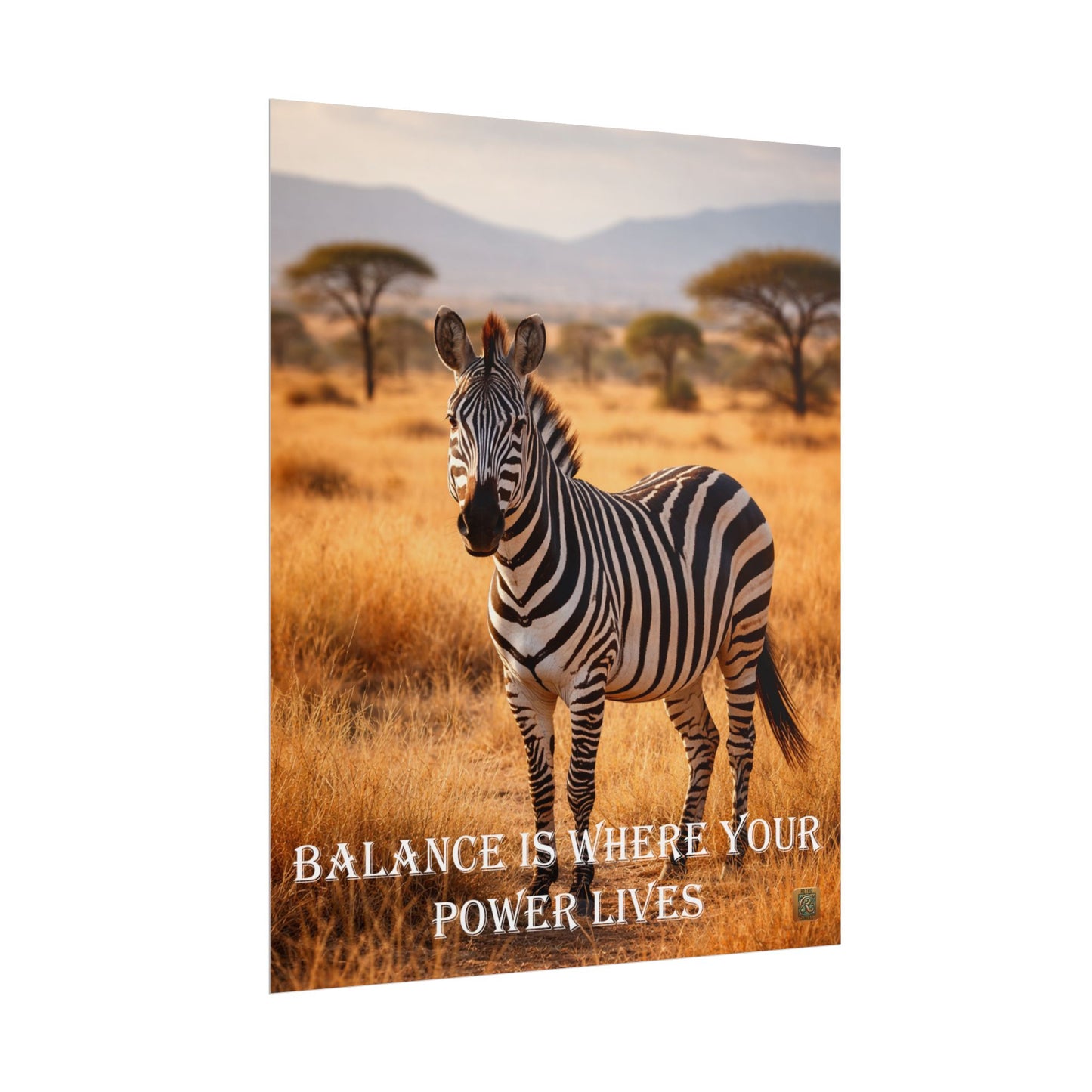 Zebra 'Balance Is Where Your Power Lives' -Poster