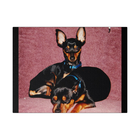 Mini Pinscher Custom Order| Black Stretched Canvas