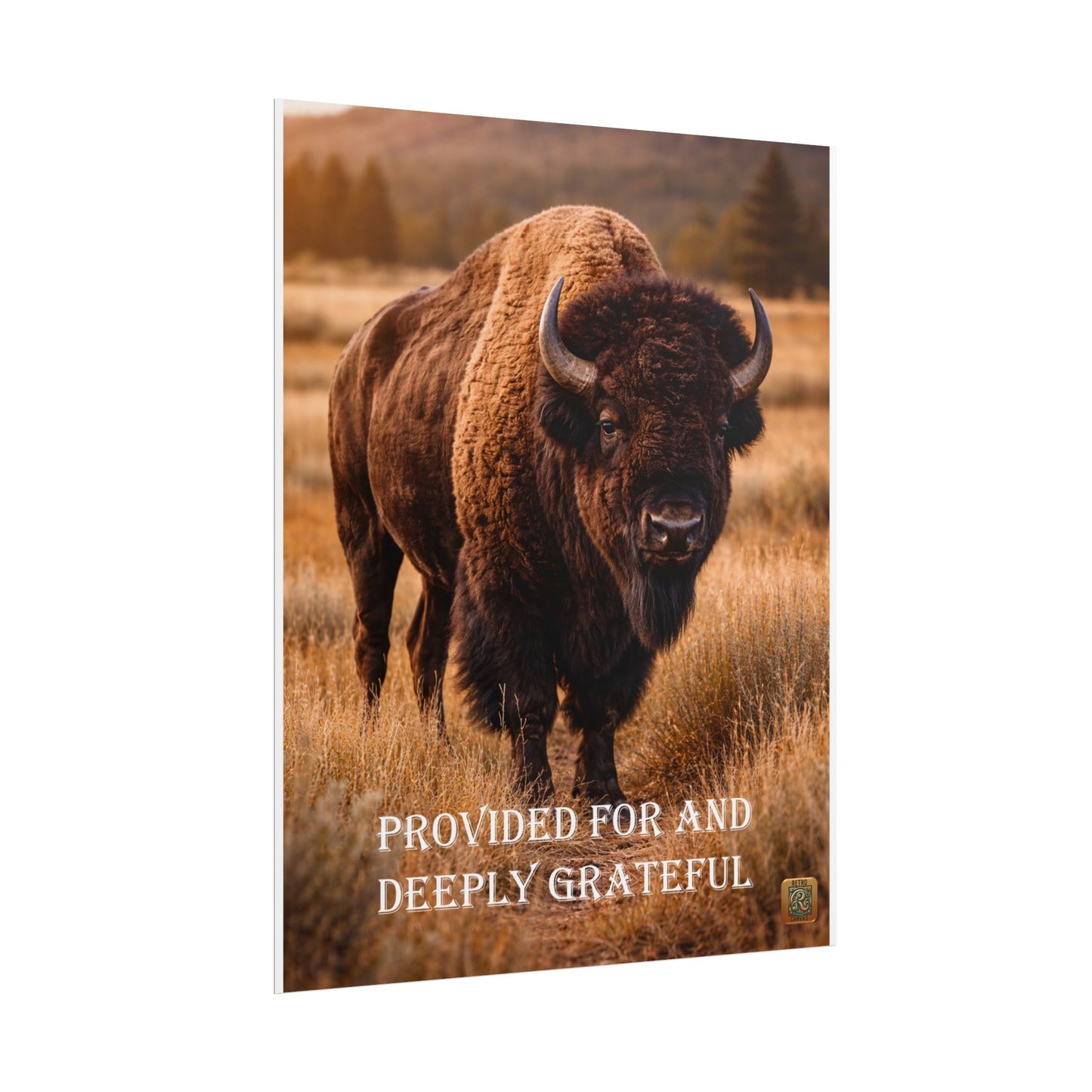 Buffalo Poster — "Provided For and Deeply Grateful" Rustic Wildlife Wall Art