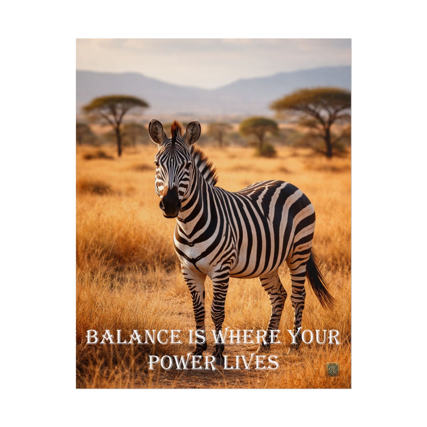 Zebra 'Balance Is Where Your Power Lives' -Poster